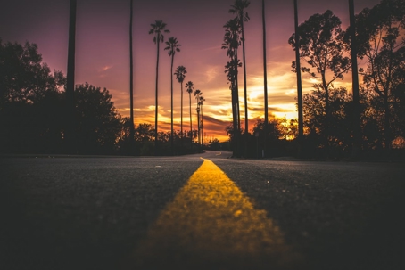 sunset