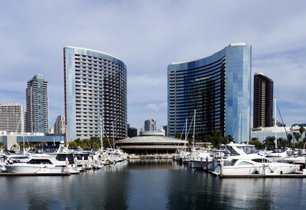 Harbor Full of Boats and Tall Building in the Distance